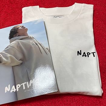 ナップタイム　naptime. Nissy 西島隆弘　刺繍Tシャツ　ブラウン ナップタイム naptime. Nissy 西島隆弘 刺繍Tシャツ ブラウン